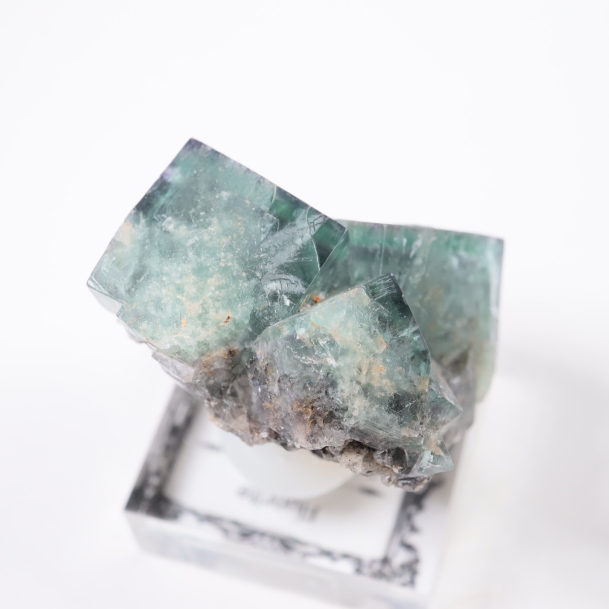 Fairy Holes Pocket�� �ե����饤��