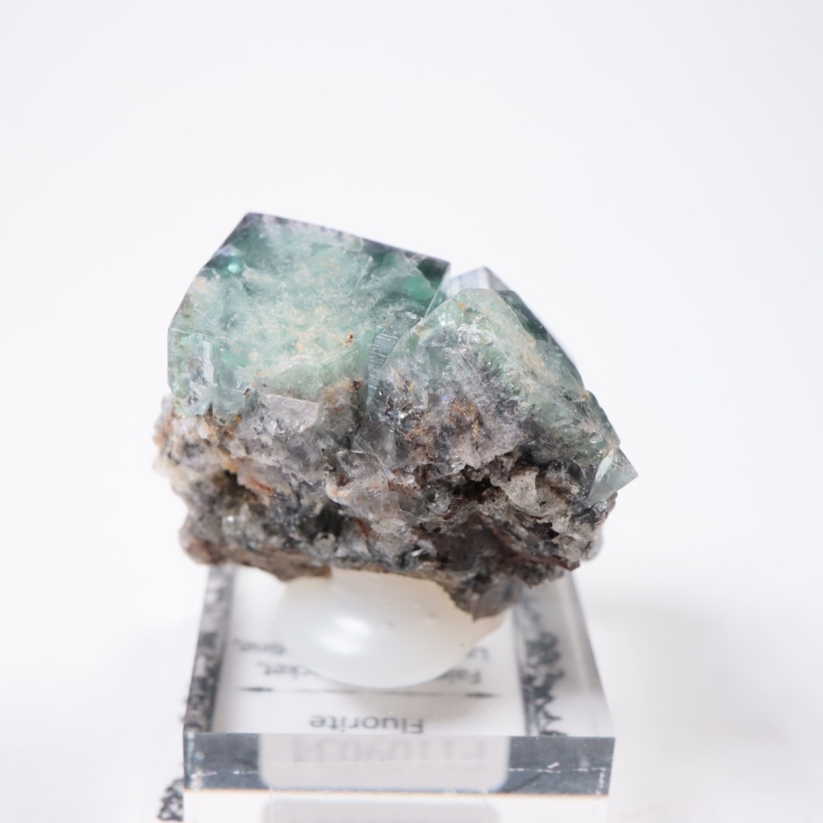 Fairy Holes Pocket�� �ե����饤��