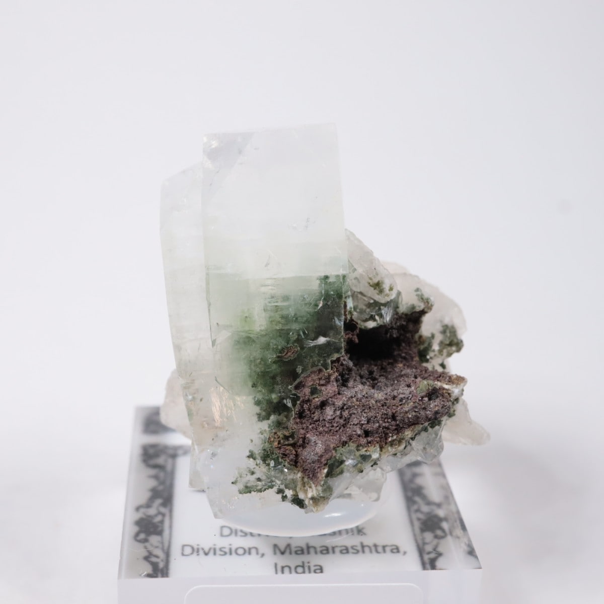 ����ɻ� ���ݥե��饤��