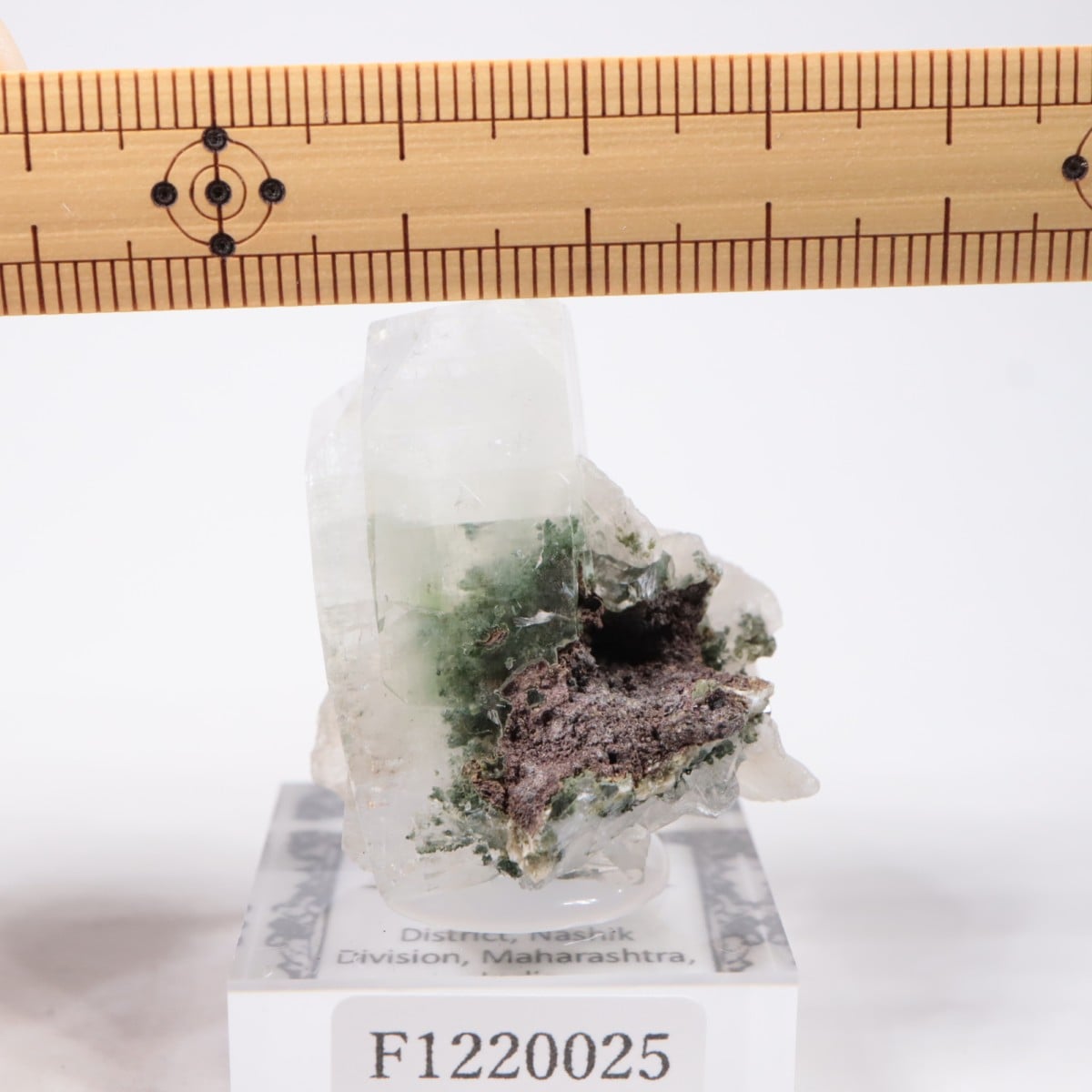 ����ɻ� ���ݥե��饤��