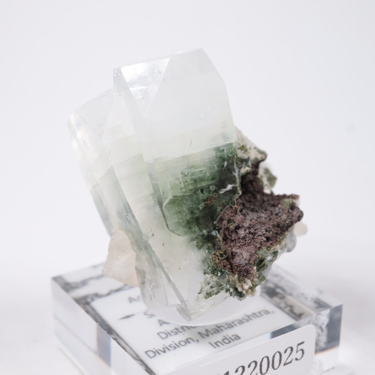 ����ɻ� ���ݥե��饤��