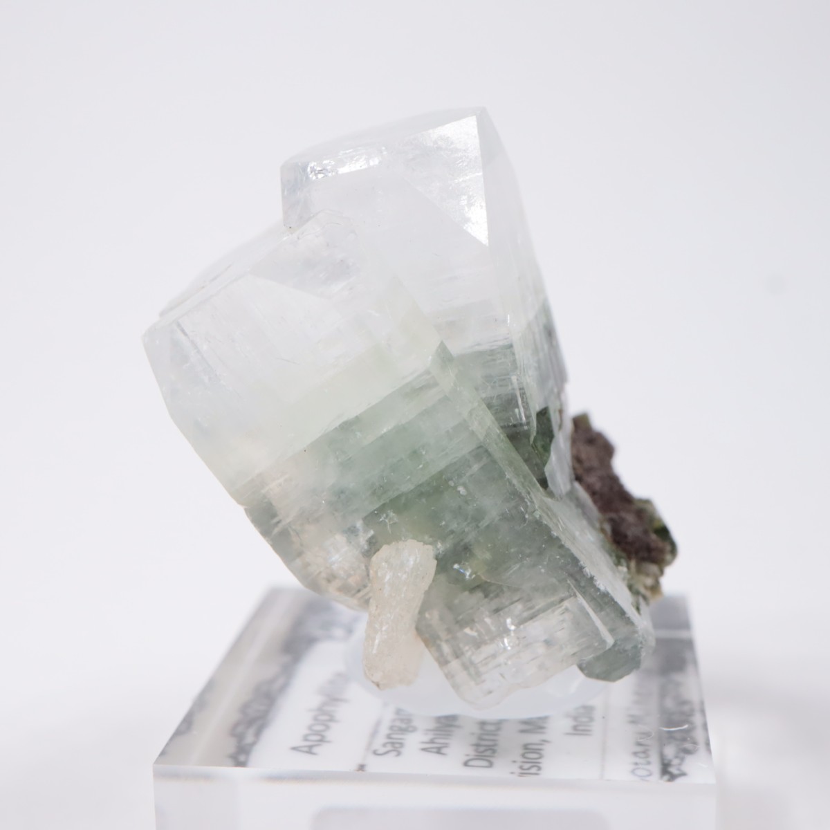 ����ɻ� ���ݥե��饤��