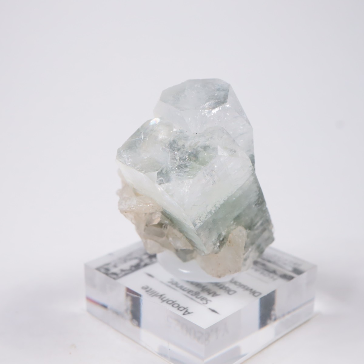 ����ɻ� ���ݥե��饤��