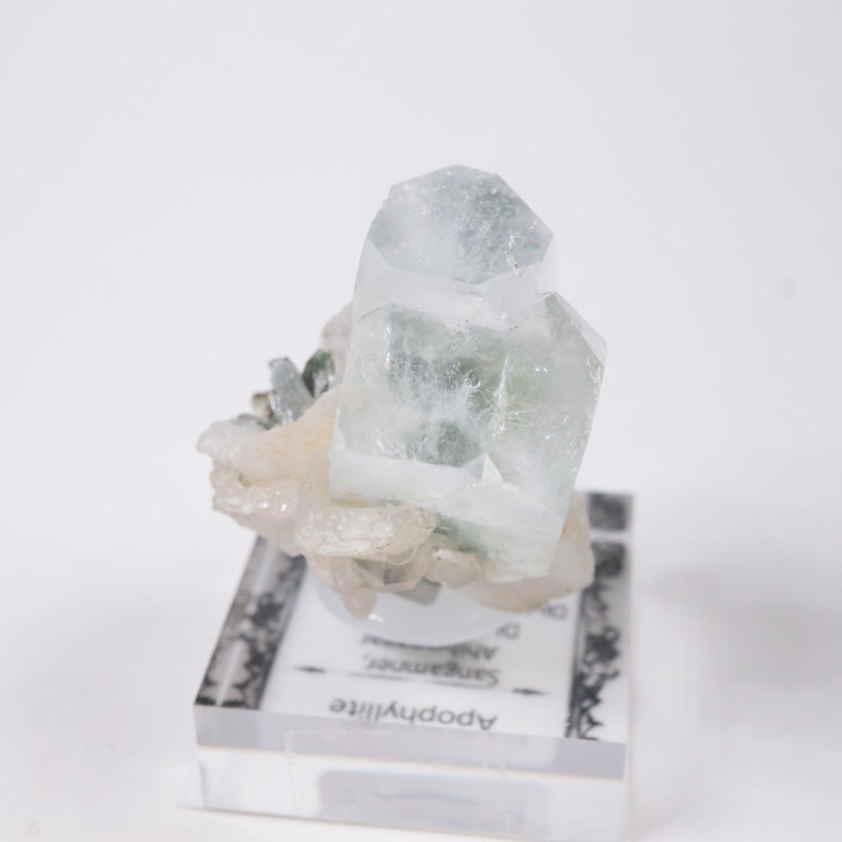 ����ɻ� ���ݥե��饤��