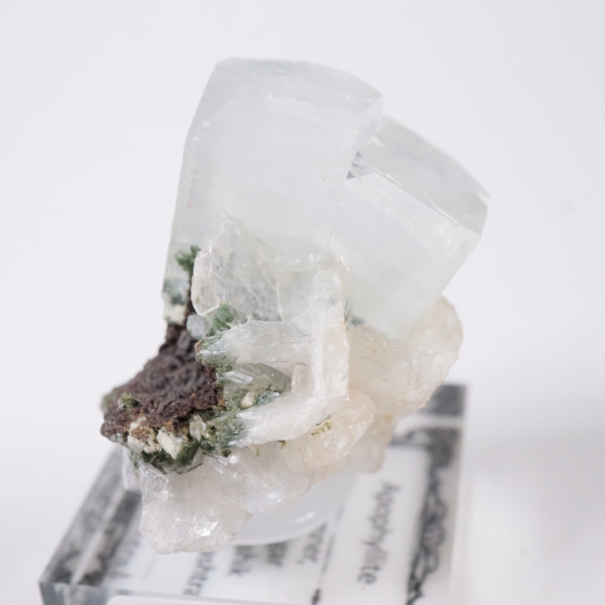 ����ɻ� ���ݥե��饤��