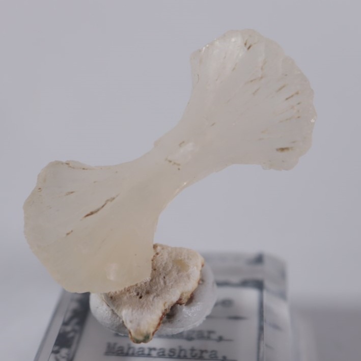 �ܥ����������ƥ���Х���