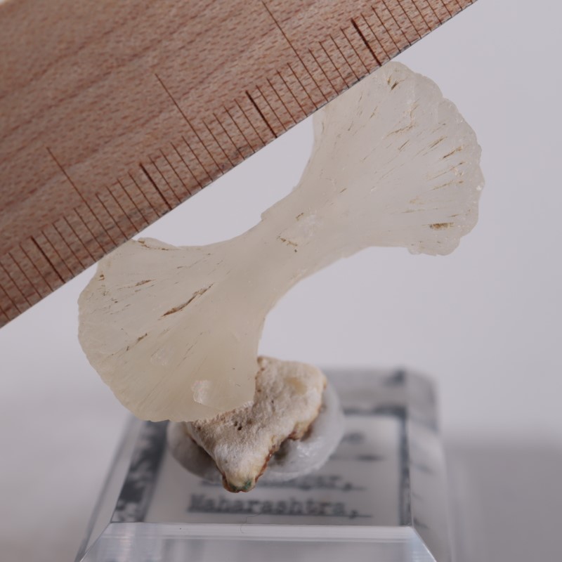 �ܥ����������ƥ���Х���