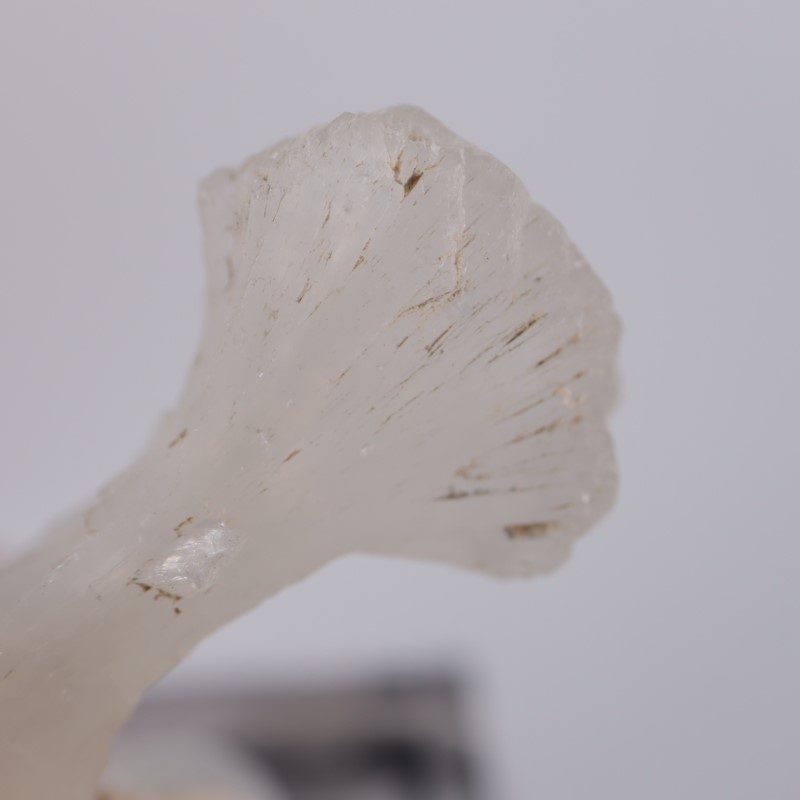 �ܥ����������ƥ���Х���