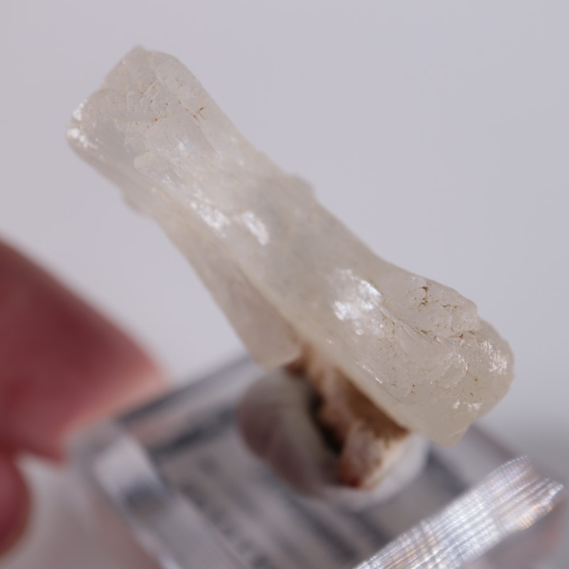 �ܥ����������ƥ���Х���