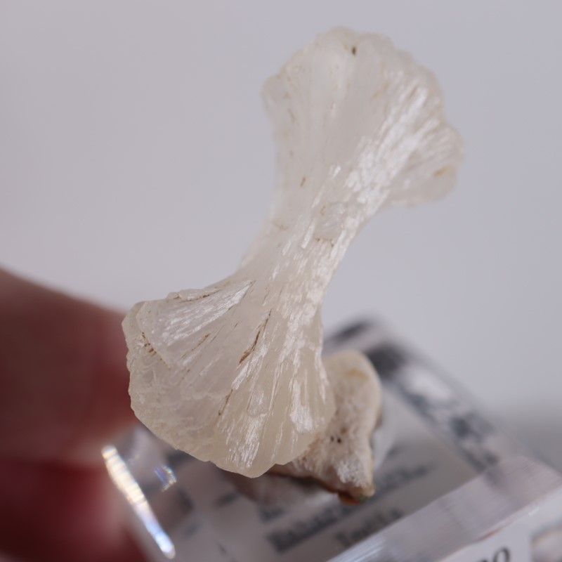 �ܥ����������ƥ���Х���