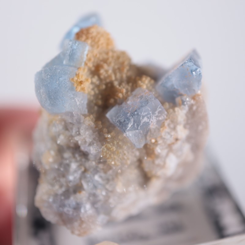 八面体フローライト　ビンガム　イリノイ　11個セット　蛍石　鉱物標本 八面体フローライトビンガムイリノイ11個セット蛍石鉱物標本