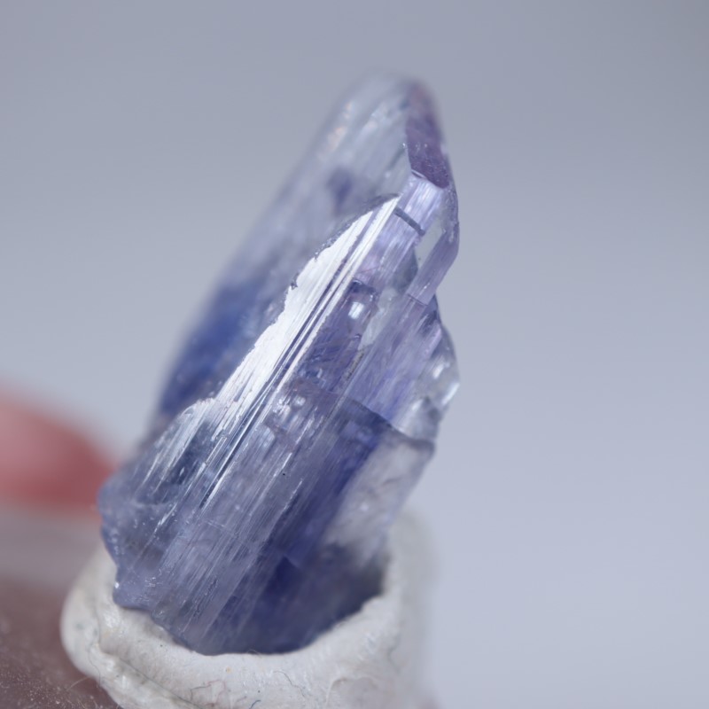 ����˥ҥ륺�������󥶥ʥ���