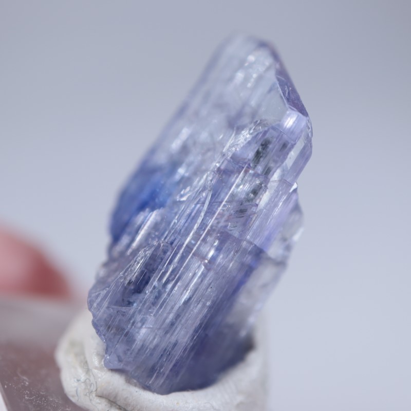 ����˥ҥ륺�������󥶥ʥ���