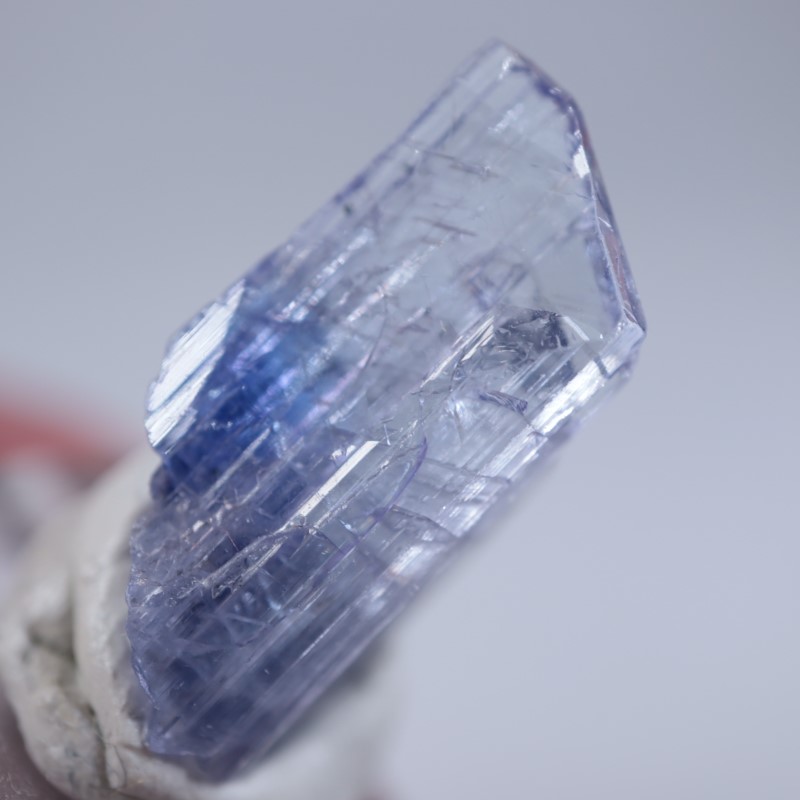 ����˥ҥ륺�������󥶥ʥ���