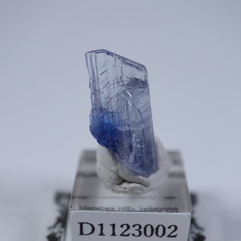 ����˥ҥ륺�������󥶥ʥ���