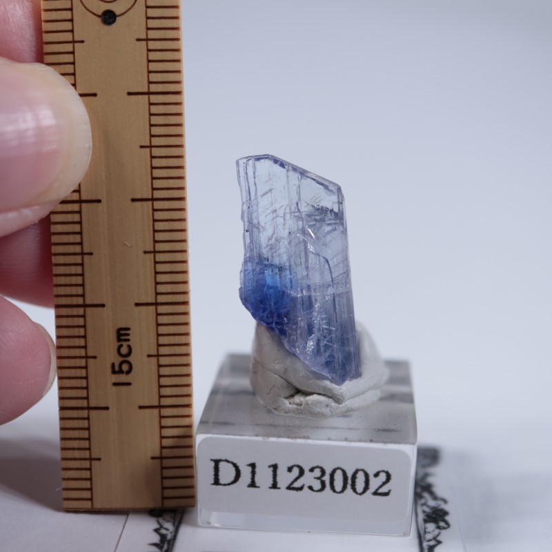 ����˥ҥ륺�������󥶥ʥ���