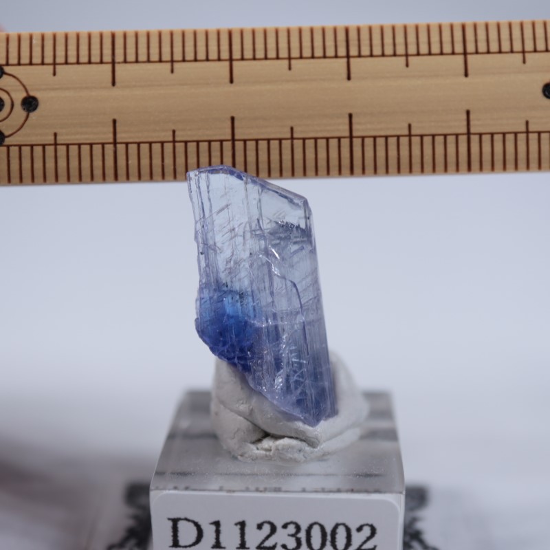 ����˥ҥ륺�������󥶥ʥ���