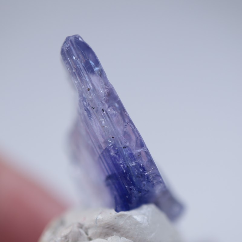 ����˥ҥ륺�������󥶥ʥ���