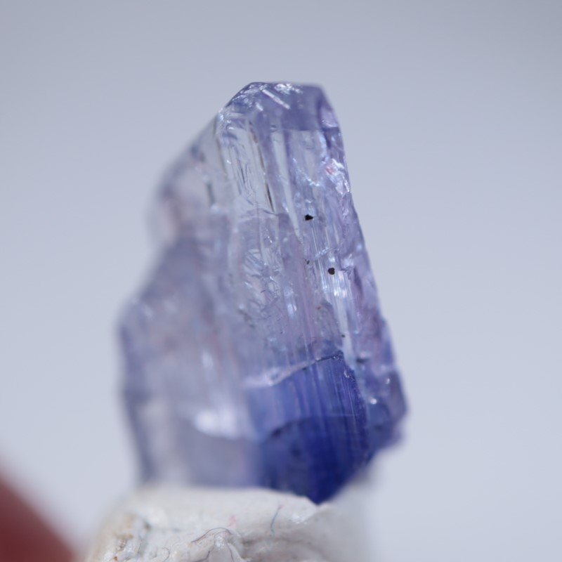 ����˥ҥ륺�������󥶥ʥ���