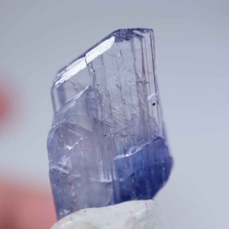 ����˥ҥ륺�������󥶥ʥ���