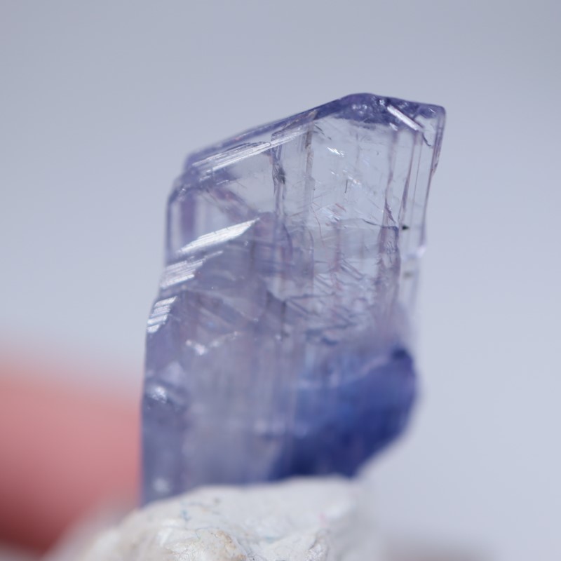 ����˥ҥ륺�������󥶥ʥ���