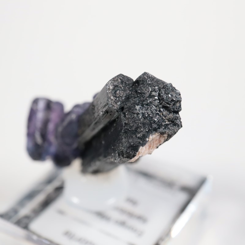 �ʥߥӥ��������С����硼��