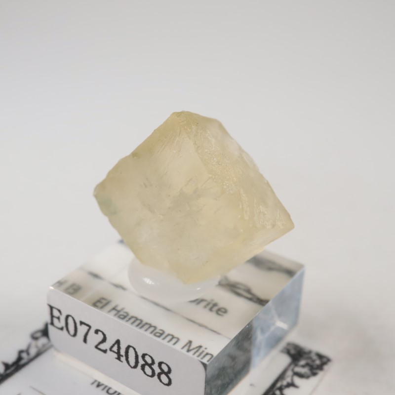 El Hammam�ۻ����ե����饤��