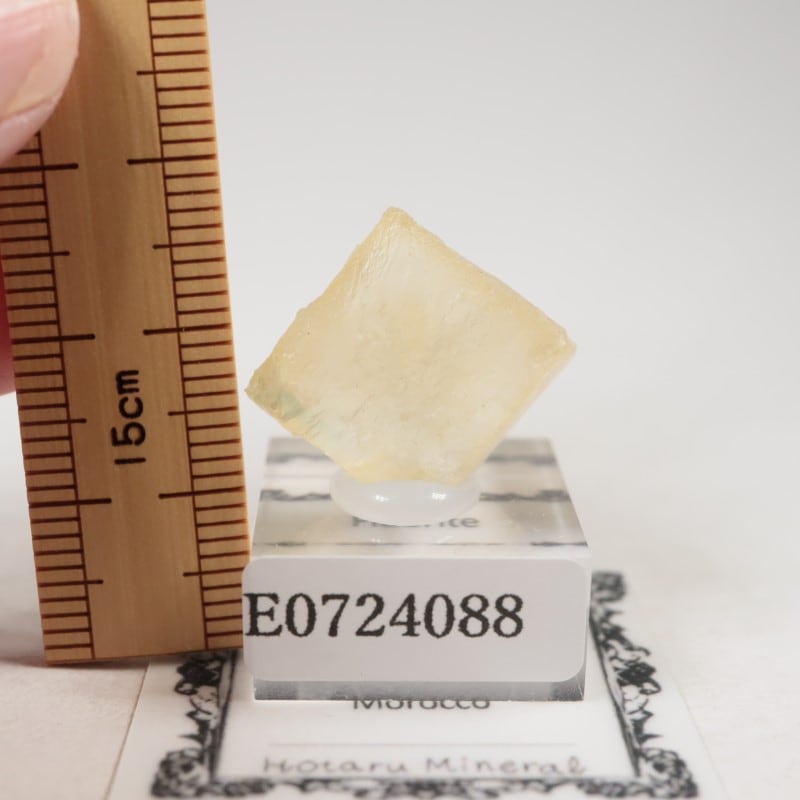 El Hammam�ۻ����ե����饤��