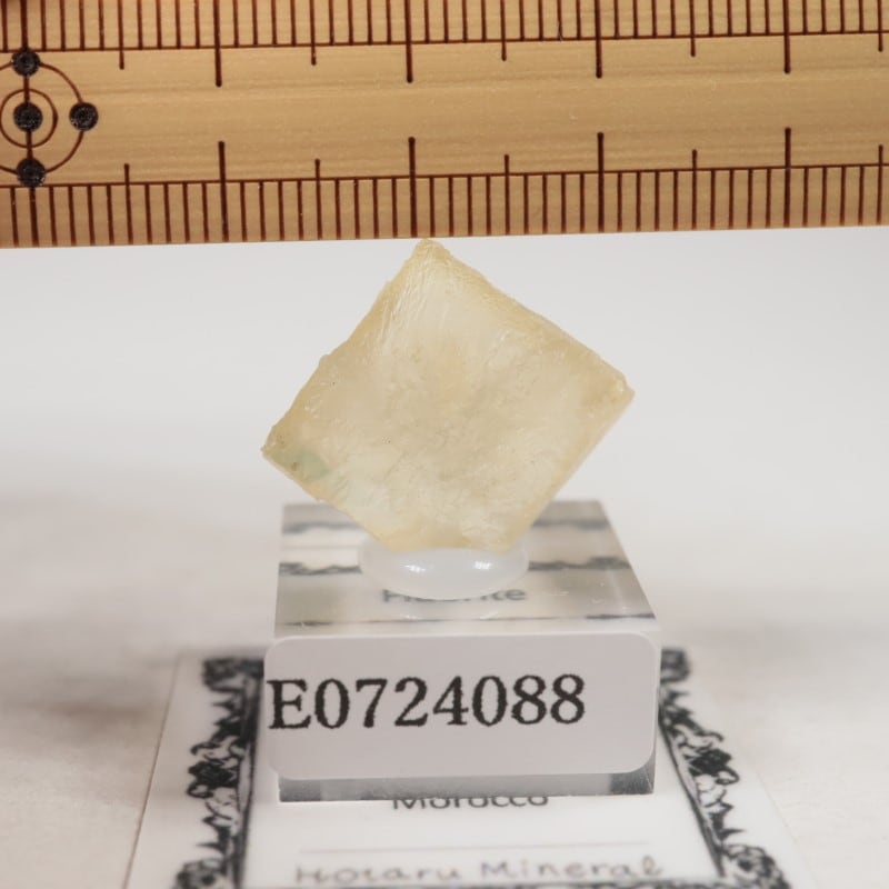 El Hammam�ۻ����ե����饤��