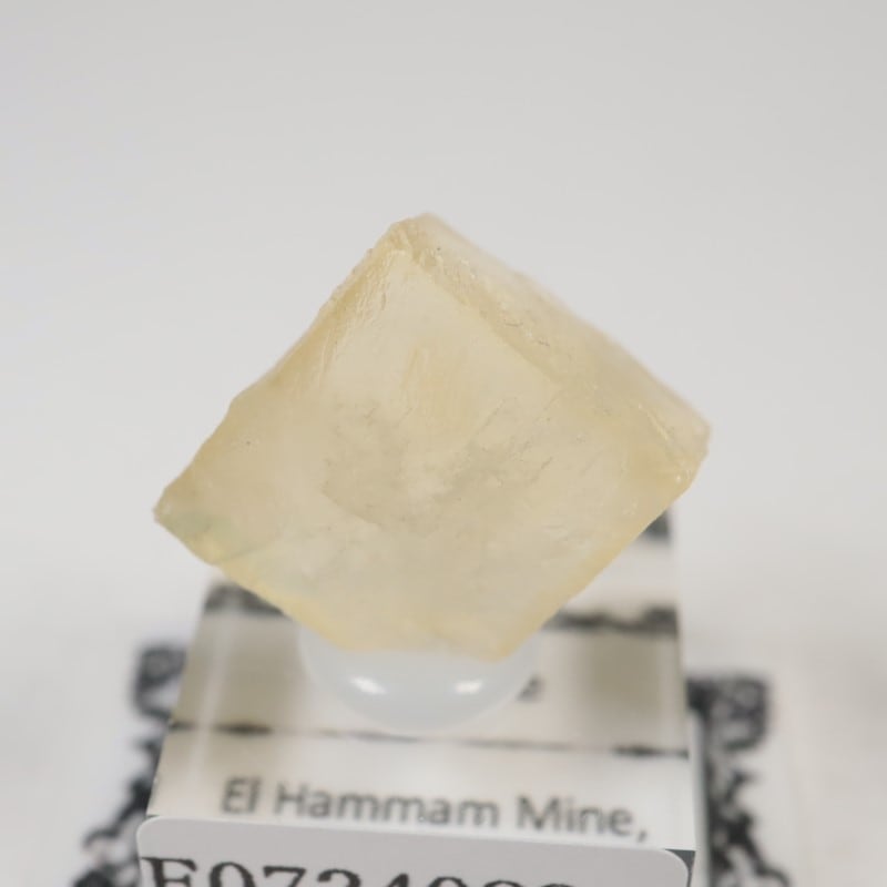 El Hammam�ۻ����ե����饤��