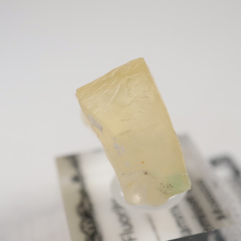 El Hammam�ۻ����ե����饤��