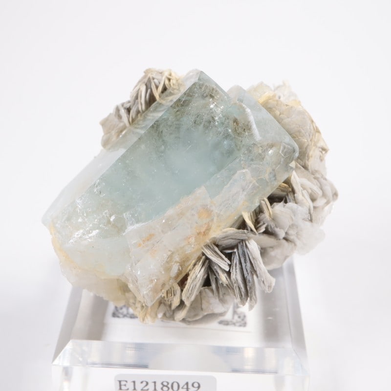 �ѥ������� �������ޥ��