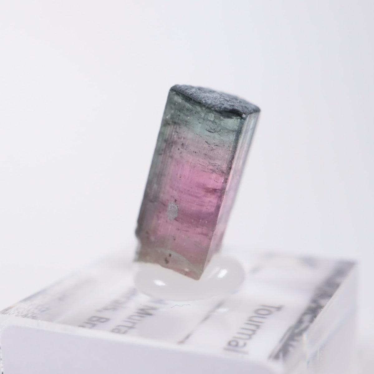 Coronel Murta�� �ȥ�ޥ��