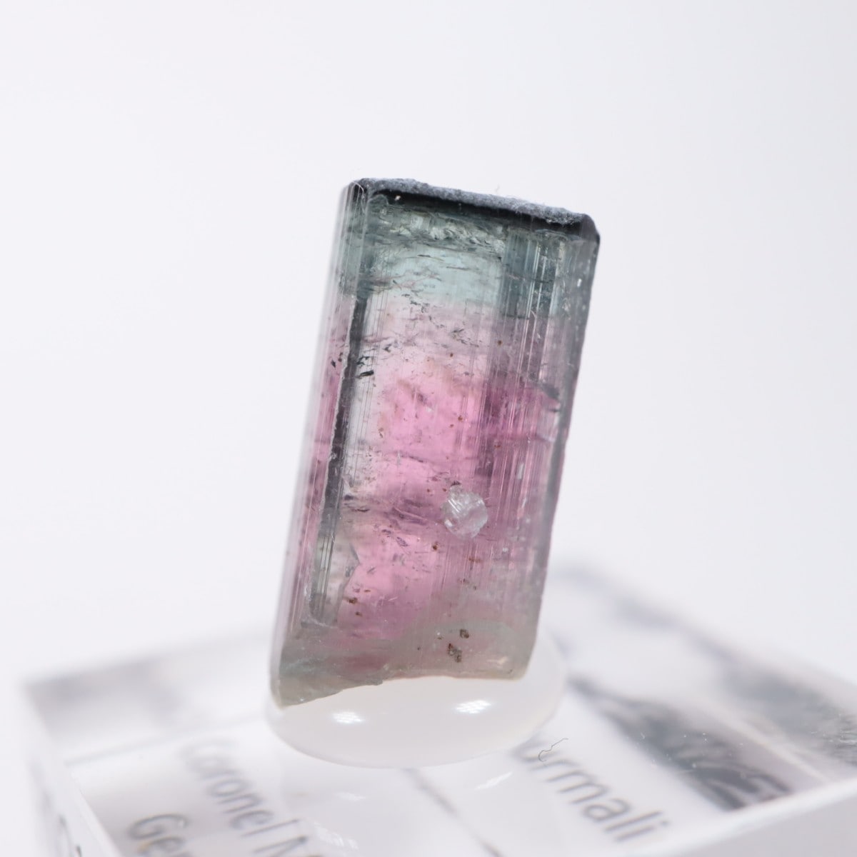 Coronel Murta�� �ȥ�ޥ��