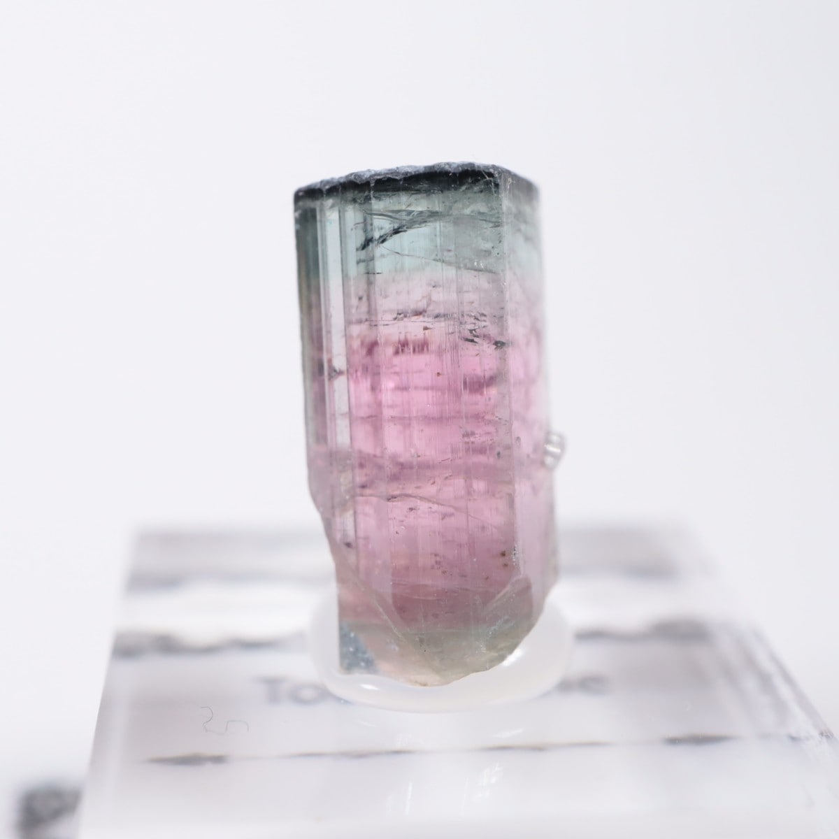 Coronel Murta�� �ȥ�ޥ��