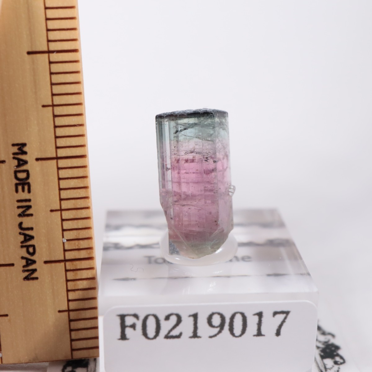 Coronel Murta�� �ȥ�ޥ��