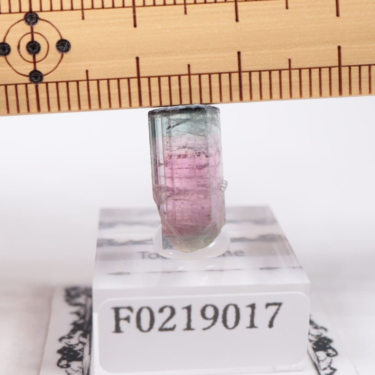 Coronel Murta�� �ȥ�ޥ��