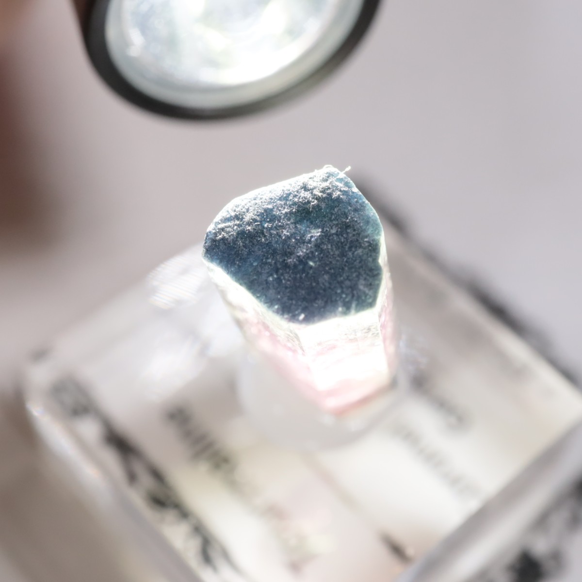 Coronel Murta�� �ȥ�ޥ��