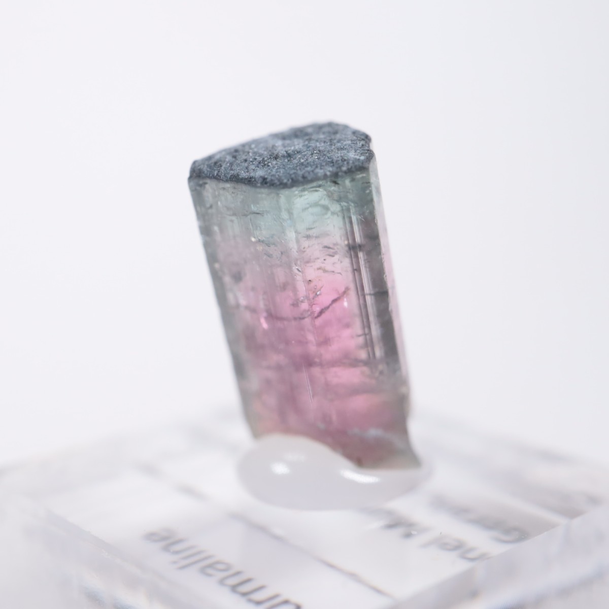 Coronel Murta�� �ȥ�ޥ��