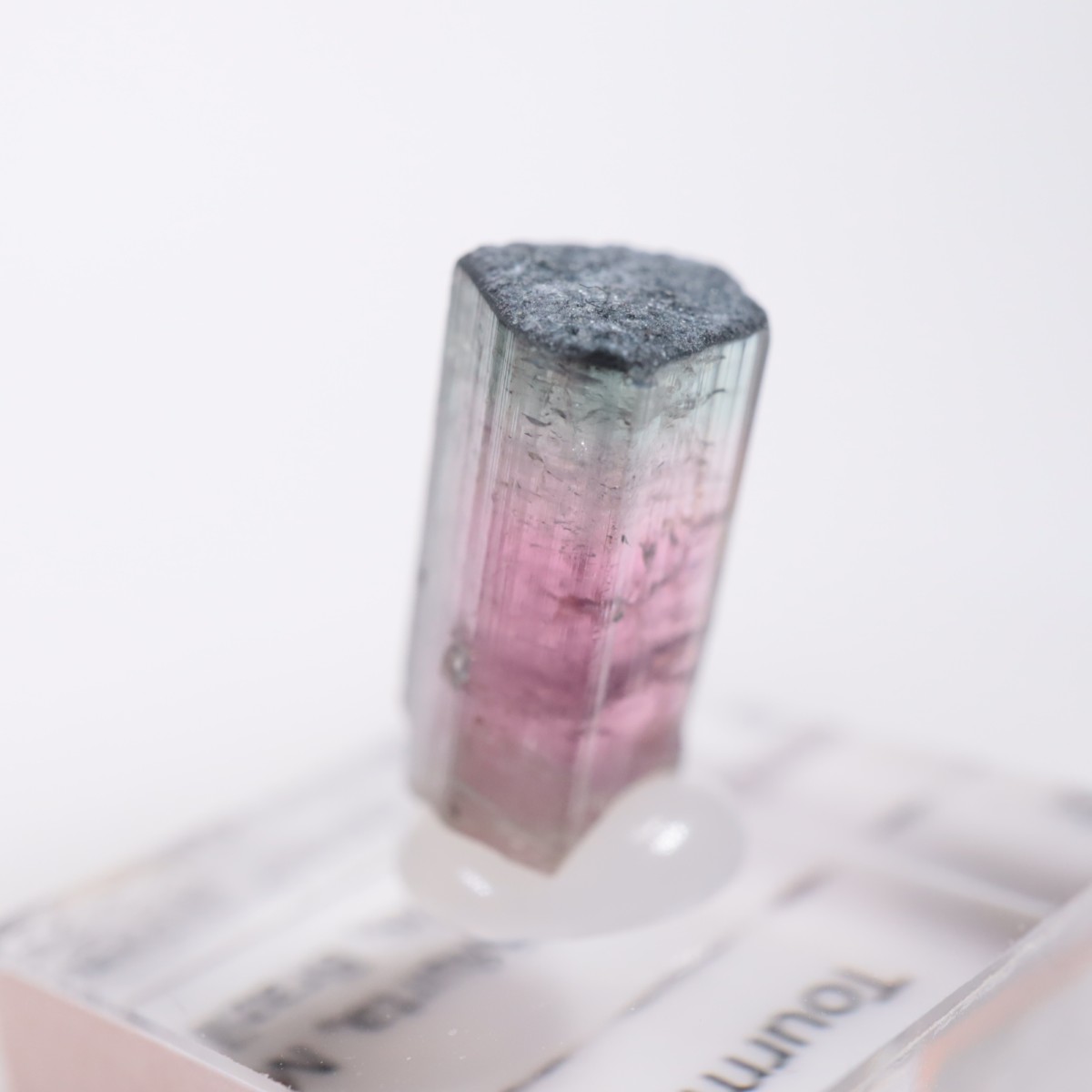 Coronel Murta�� �ȥ�ޥ��