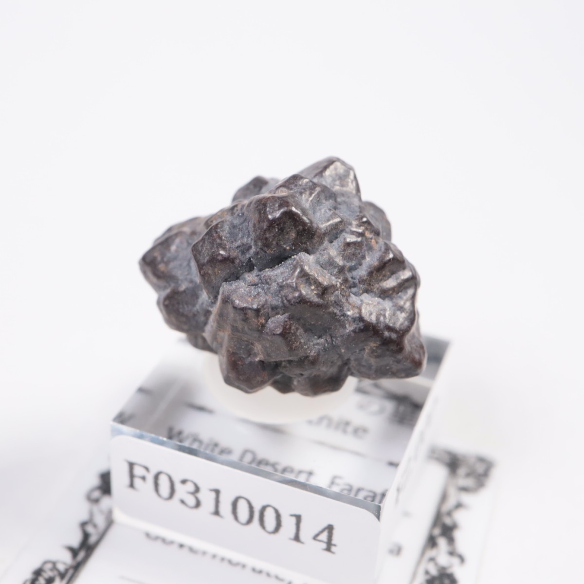 �����ץȻ� ���������ȡʥޡ��������Ȳ�����