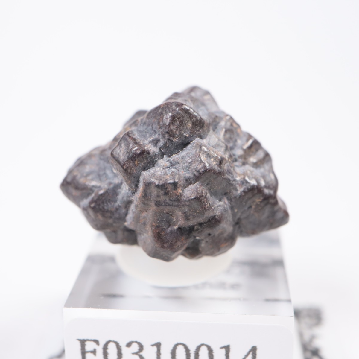 �����ץȻ� ���������ȡʥޡ��������Ȳ�����