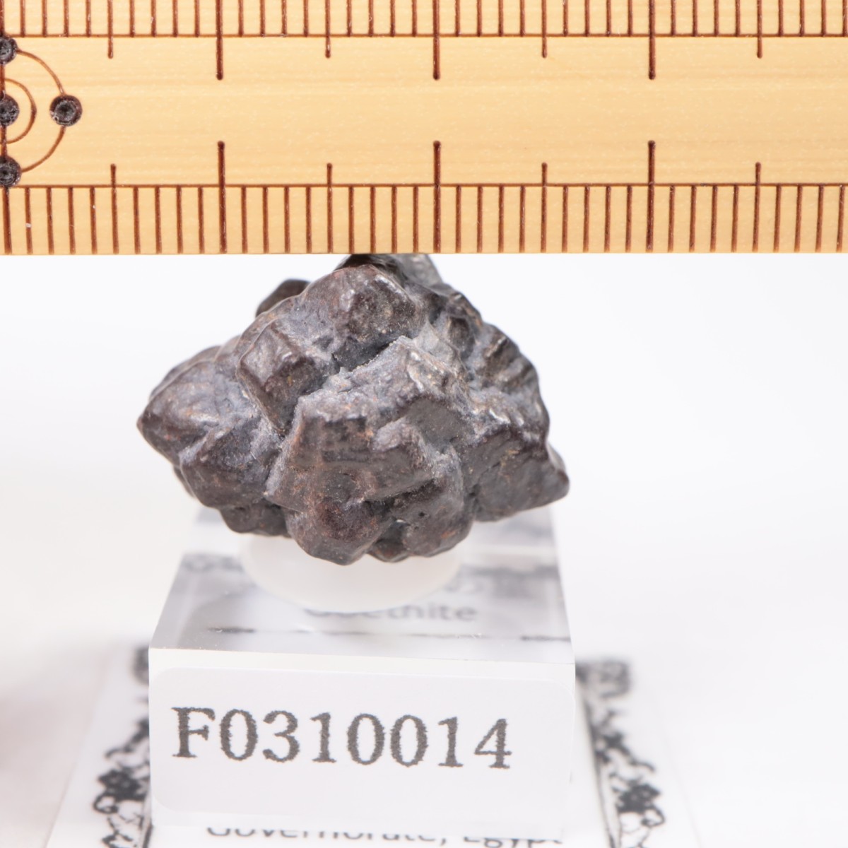 �����ץȻ� ���������ȡʥޡ��������Ȳ�����