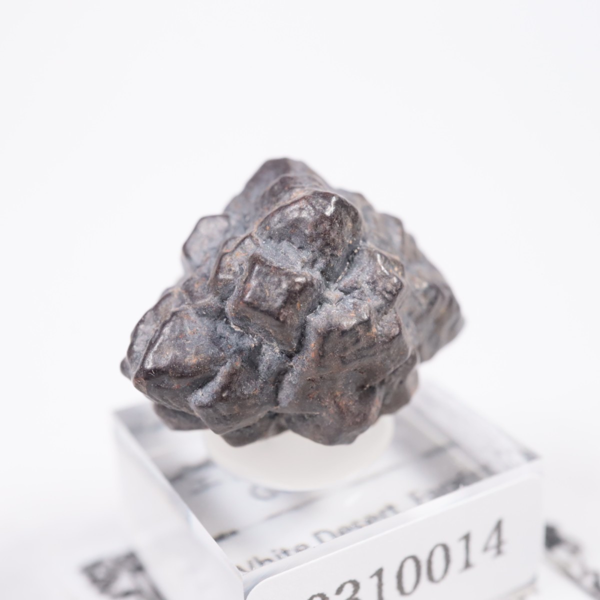 �����ץȻ� ���������ȡʥޡ��������Ȳ�����