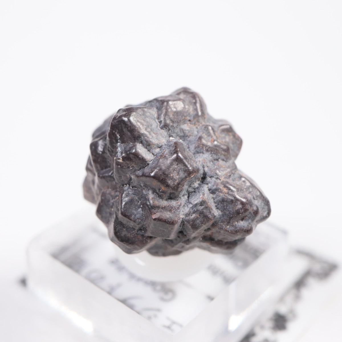 �����ץȻ� ���������ȡʥޡ��������Ȳ�����