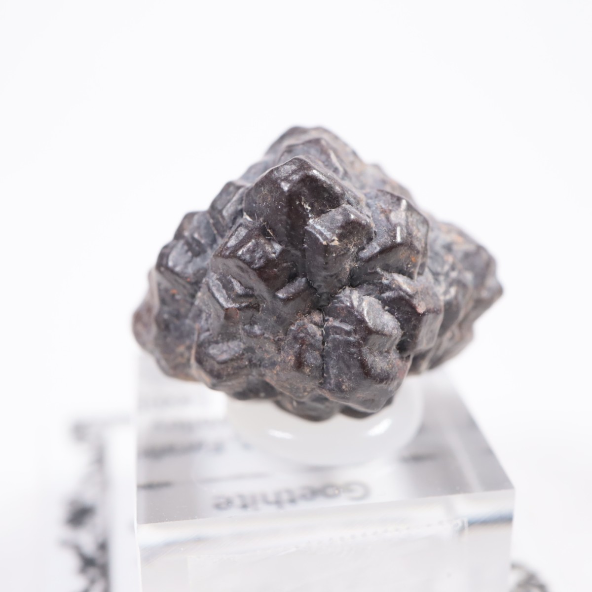 �����ץȻ� ���������ȡʥޡ��������Ȳ�����