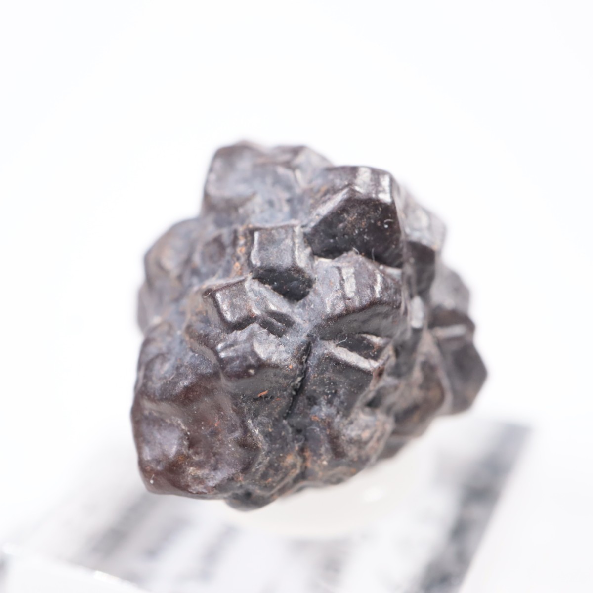 �����ץȻ� ���������ȡʥޡ��������Ȳ�����