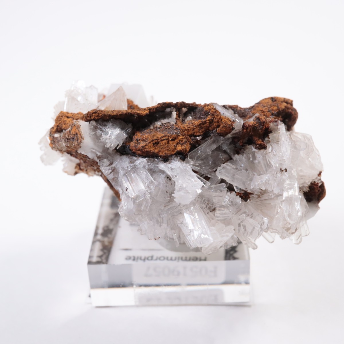 Santa Eulalia�� �إߥ��ե�����