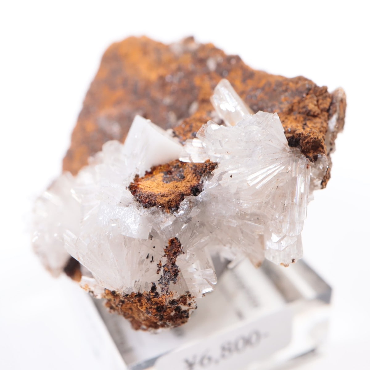 Santa Eulalia�� �إߥ��ե�����