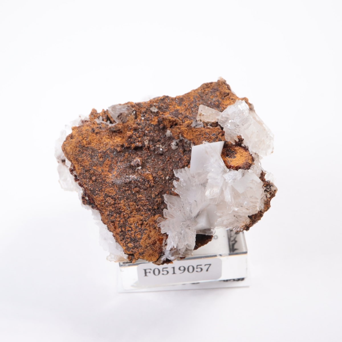 Santa Eulalia�� �إߥ��ե�����